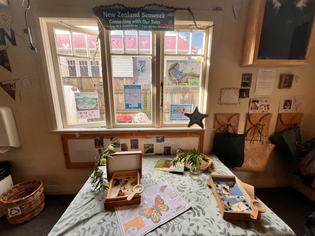 Bug exploration for children and educators