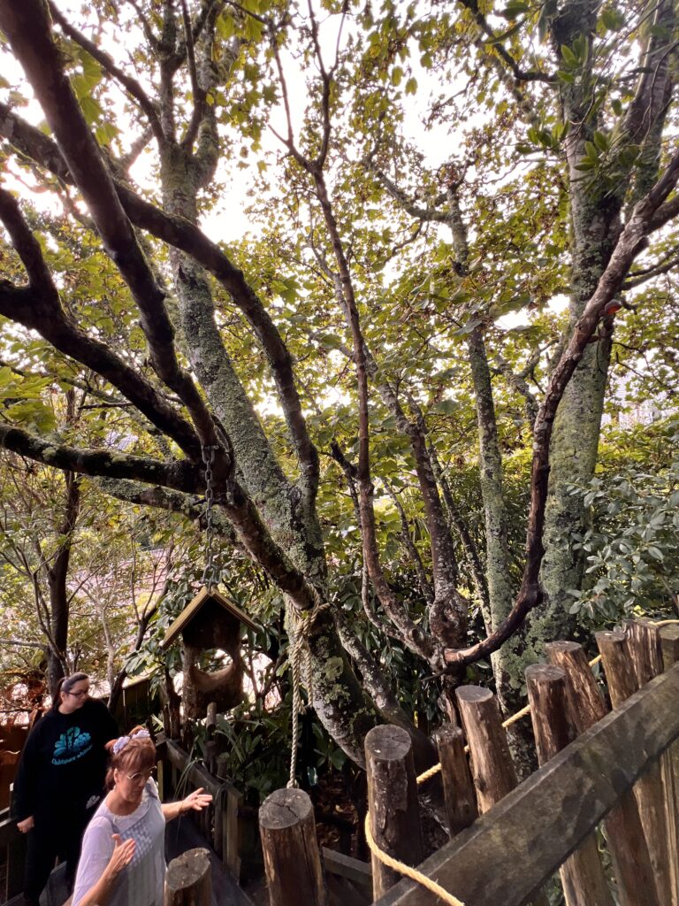 Outdoor learning environment