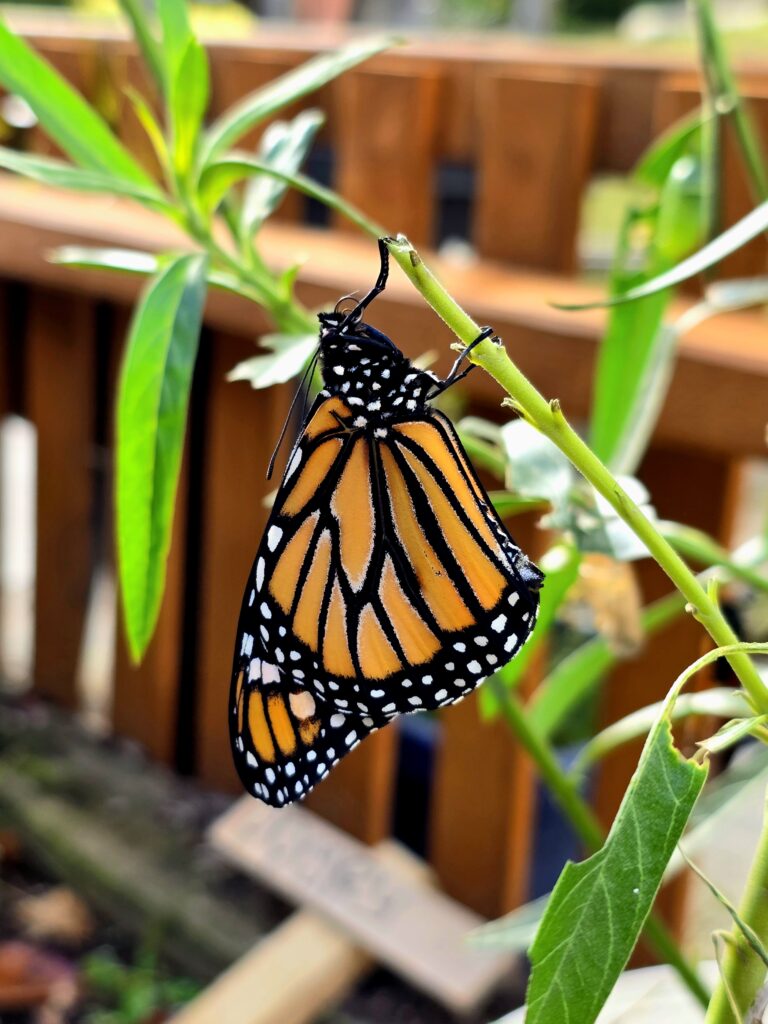Outdoor learning environment with nature